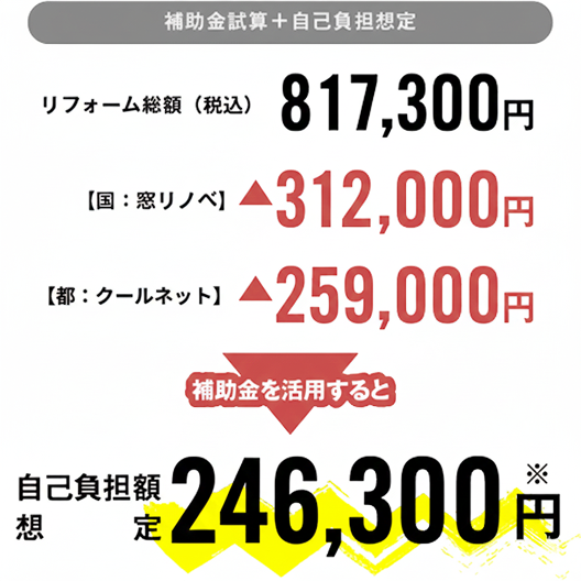 自己負担額想定 246,300円